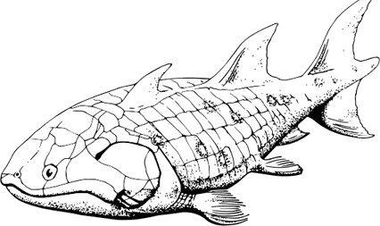 Иллюстрация к книге — Палеонтология антрополога. Книга 1. Докембрий и палеозой [i_050.jpg]