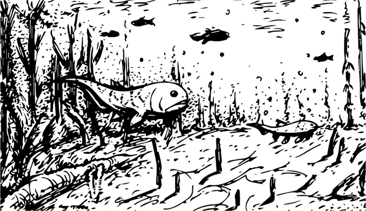 Иллюстрация к книге — Палеонтология антрополога. Книга 1. Докембрий и палеозой [i_053.jpg]