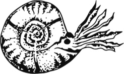 Иллюстрация к книге — Палеонтология антрополога. Книга 1. Докембрий и палеозой [i_054.jpg]