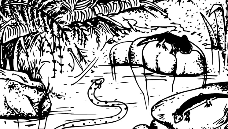 Иллюстрация к книге — Палеонтология антрополога. Книга 1. Докембрий и палеозой [i_059.jpg]