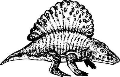 Иллюстрация к книге — Палеонтология антрополога. Книга 1. Докембрий и палеозой [i_070.jpg]