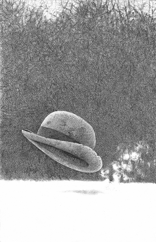 Иллюстрация к книге — Гвенди и ее волшебное перышко [i_006.jpg]