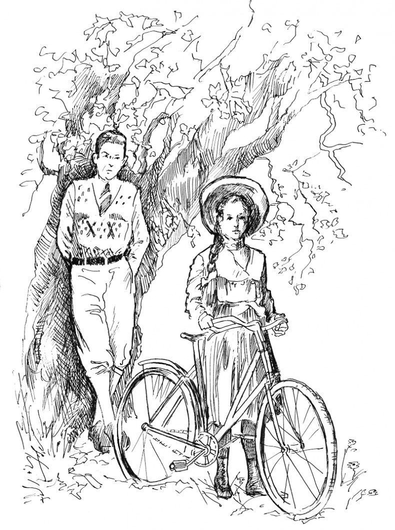 Иллюстрация к книге — Владимир Набоков. Русские романы [i_002.jpg]