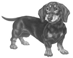 Иллюстрация к книге — Дорога к дому [i_004.jpg]