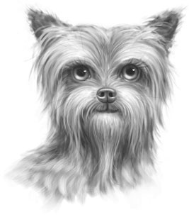 Иллюстрация к книге — Дорога к дому [i_006.jpg]