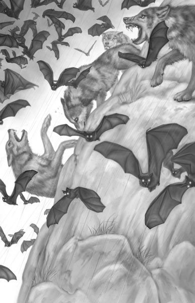 Иллюстрация к книге — Дорога к дому [i_012.jpg]