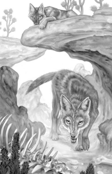 Иллюстрация к книге — Дорога к дому [i_018.jpg]