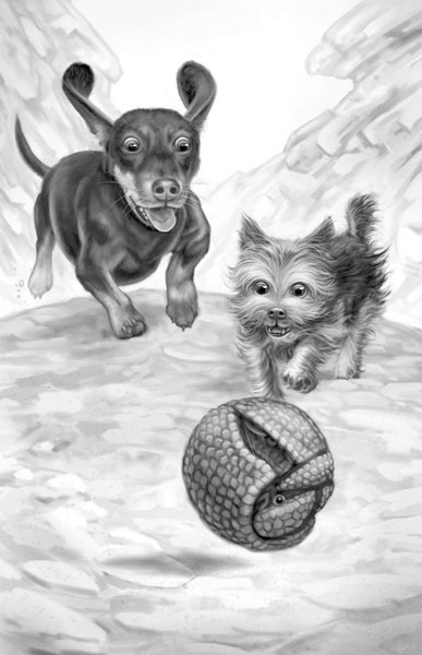 Иллюстрация к книге — Дорога к дому [i_019.jpg]