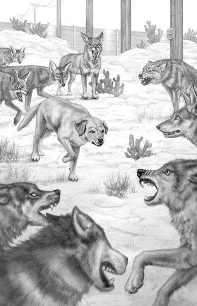 Иллюстрация к книге — Дорога к дому [i_020.jpg]