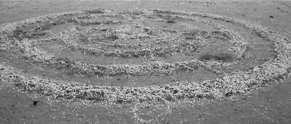 Иллюстрация к книге — Всемирная история в вопросах и ответах [i_004.jpg]