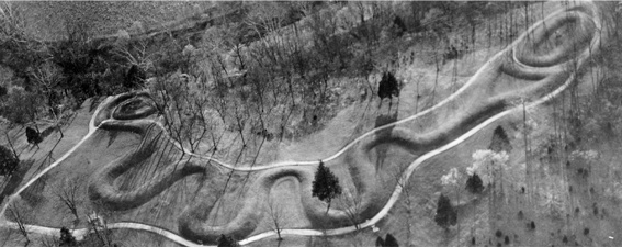 Иллюстрация к книге — Всемирная история в вопросах и ответах [i_019.jpg]