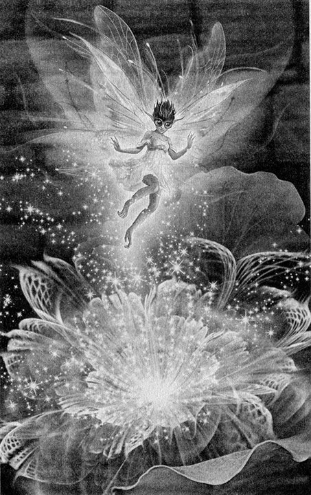 Иллюстрация к книге — Кукла его высочества  [i_001.jpg]