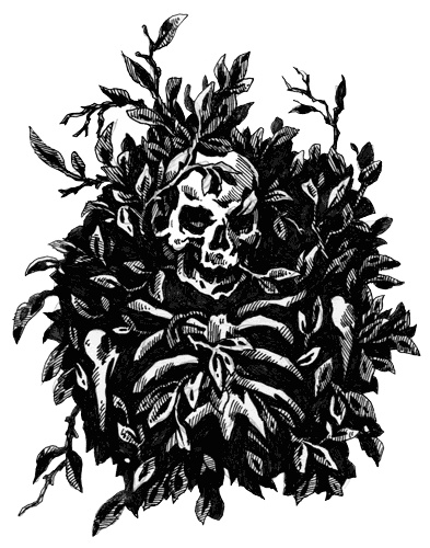 Иллюстрация к книге — Месть охотника на ведьм [i_007.jpg]