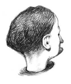 Иллюстрация к книге — Кроха [i_008.jpg]