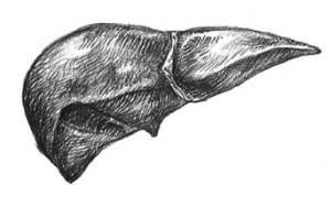 Иллюстрация к книге — Кроха [i_020.jpg]