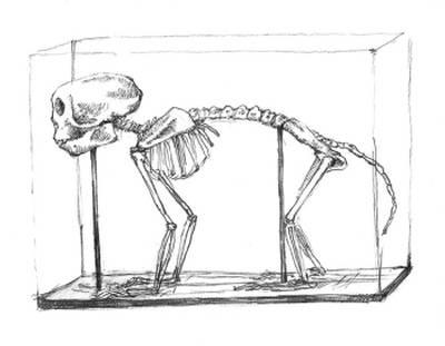 Иллюстрация к книге — Кроха [i_041.jpg]