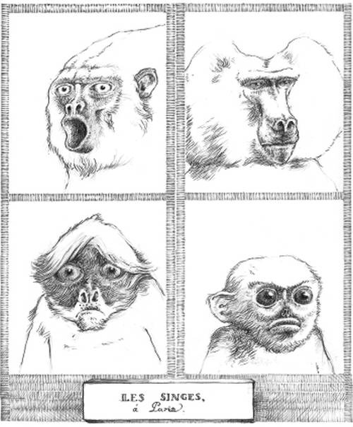 Иллюстрация к книге — Кроха [i_044.jpg]