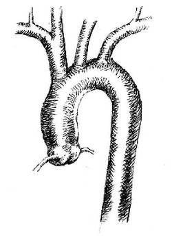 Иллюстрация к книге — Кроха [i_080.jpg]