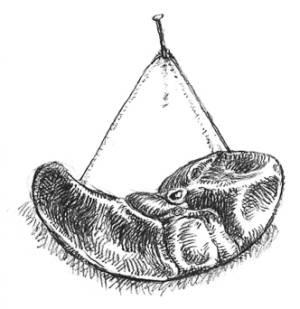 Иллюстрация к книге — Кроха [i_085.jpg]