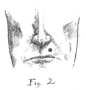 Иллюстрация к книге — Кроха [i_090.jpg]