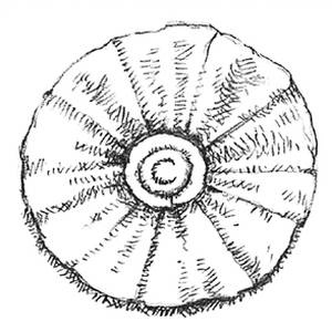 Иллюстрация к книге — Кроха [i_099.jpg]