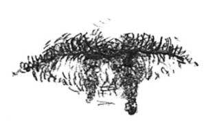 Иллюстрация к книге — Кроха [i_105.jpg]