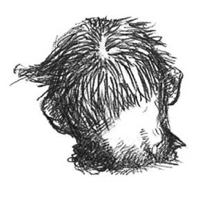 Иллюстрация к книге — Кроха [i_107.jpg]