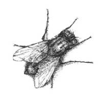 Иллюстрация к книге — Кроха [i_110.jpg]