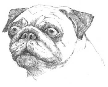 Иллюстрация к книге — Кроха [i_126.jpg]