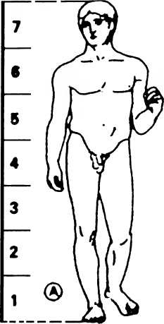 Иллюстрация к книге — Классическая Греция [img_87.jpg]