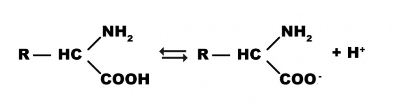 Иллюстрация к книге — Современное сыроделие для всех. Часть первая  [_3.jpg]