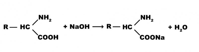 Иллюстрация к книге — Современное сыроделие для всех. Часть первая  [_4.jpg]