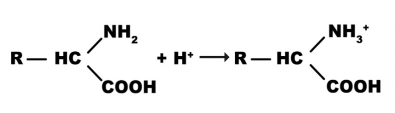 Иллюстрация к книге — Современное сыроделие для всех. Часть первая  [_5.jpg]