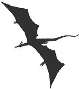 Иллюстрация к книге — Темнота драконов [i_008.jpg]