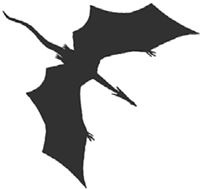 Иллюстрация к книге — Темнота драконов [i_032.jpg]