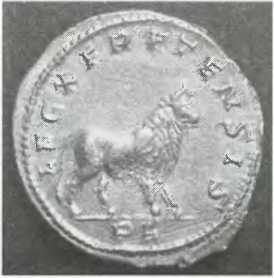 Иллюстрация к книге — Галлы [img_51.jpg]