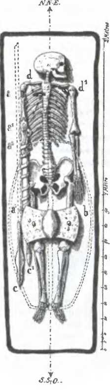 Иллюстрация к книге — Галлы [img_63.jpg]
