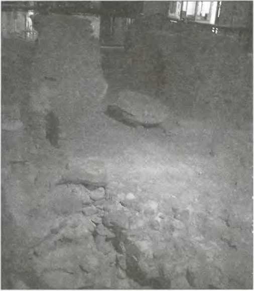 Иллюстрация к книге — Галлы [img_90.jpg]