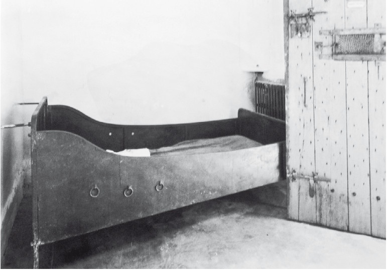 Иллюстрация к книге — Ухо Ван Гога. Главная тайна Винсента [i_029.jpg]