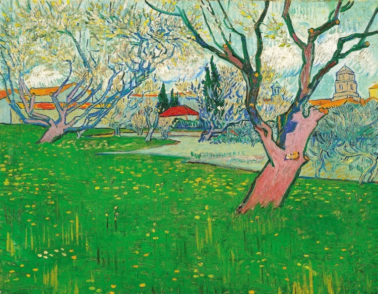 Иллюстрация к книге — Ухо Ван Гога. Главная тайна Винсента [i_044.jpg]