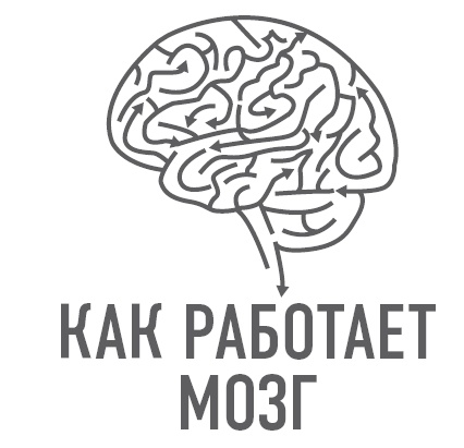 Иллюстрация к книге — Как работает мозг [img_2.jpg]