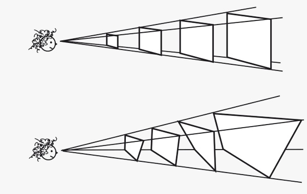 Иллюстрация к книге — Как работает мозг [img_7.jpg]