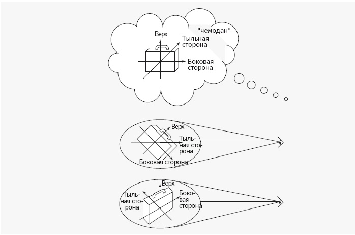Иллюстрация к книге — Как работает мозг [img_70.jpg]