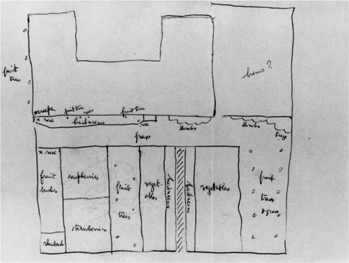 Иллюстрация к книге — Дневники [i_034.jpg]