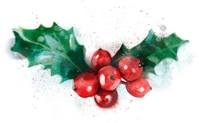 Иллюстрация к книге — Снежная сестрёнка [_48.jpg]