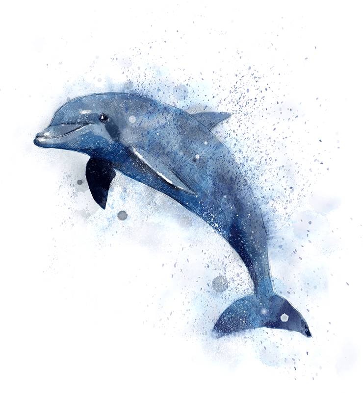 Иллюстрация к книге — Снежная сестрёнка [_6.jpg]