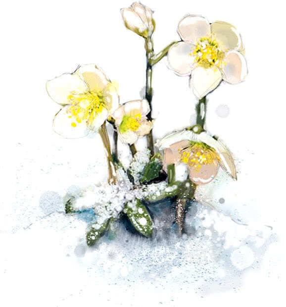 Иллюстрация к книге — Снежная сестрёнка [_88.jpg]