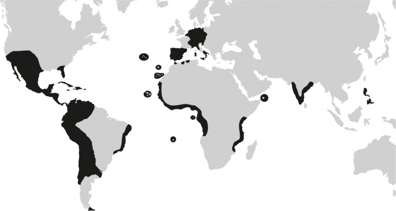 Иллюстрация к книге — Воспоминание о будущем [i_017.jpg]