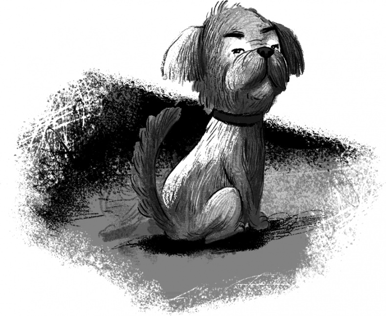 Иллюстрация к книге — Утраченное сокровище [i_008.jpg]