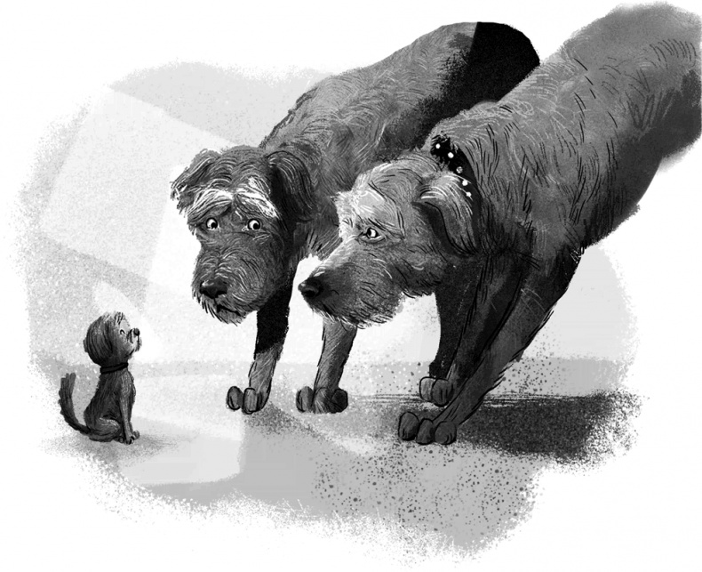 Иллюстрация к книге — Утраченное сокровище [i_009.jpg]